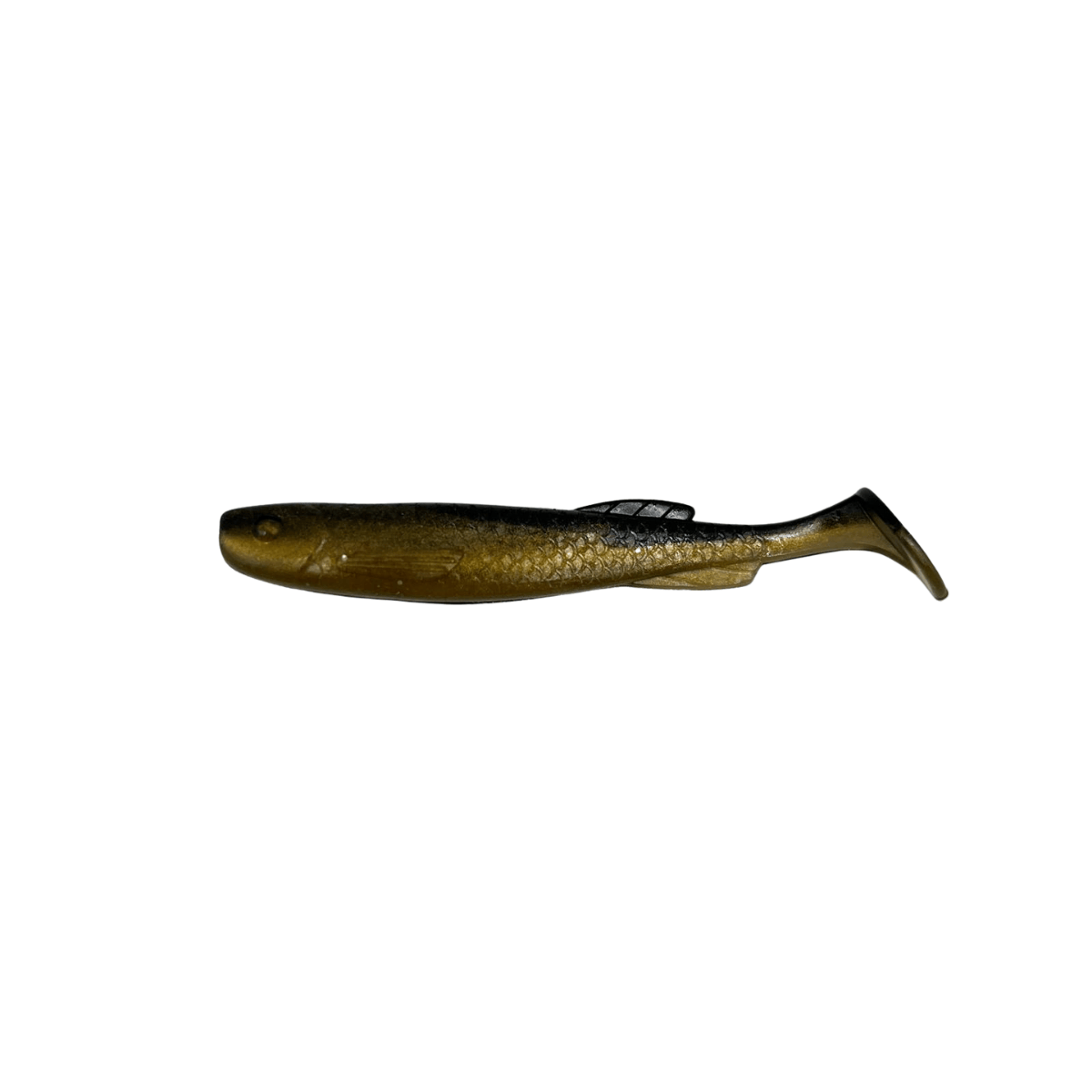 Shockfin – Finshad