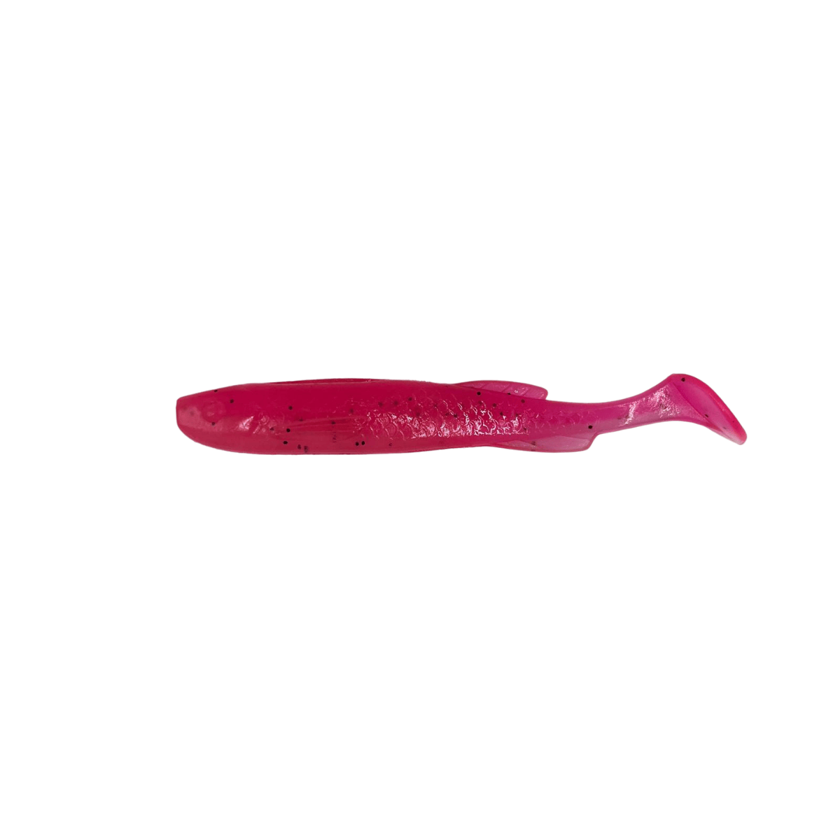 Shockfin – Finshad