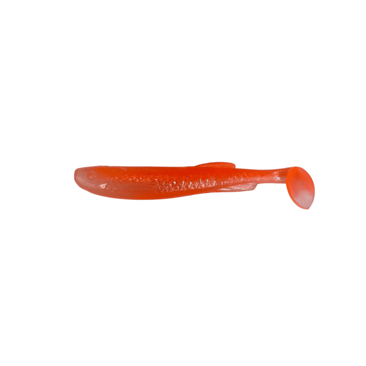 Shockfin – Finshad