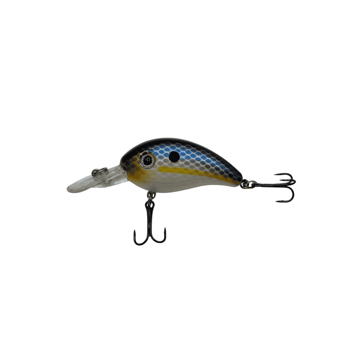 Shockfin – Ramp Rattle