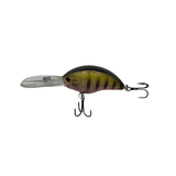 Shockfin – Rattlecrank