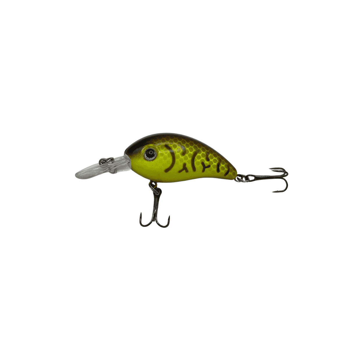 Shockfin – Ramp Rattle