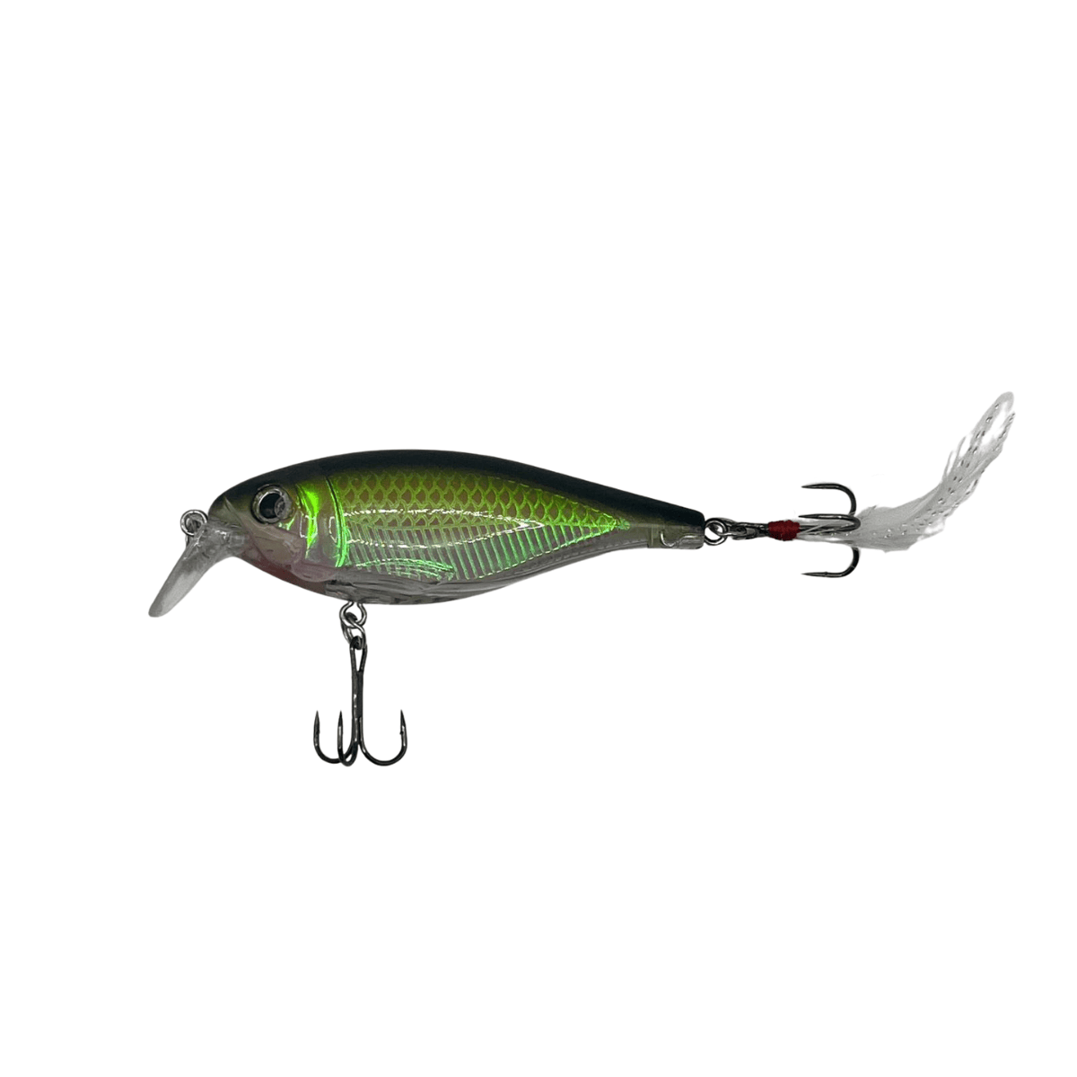 Shockfin – Rattlevein