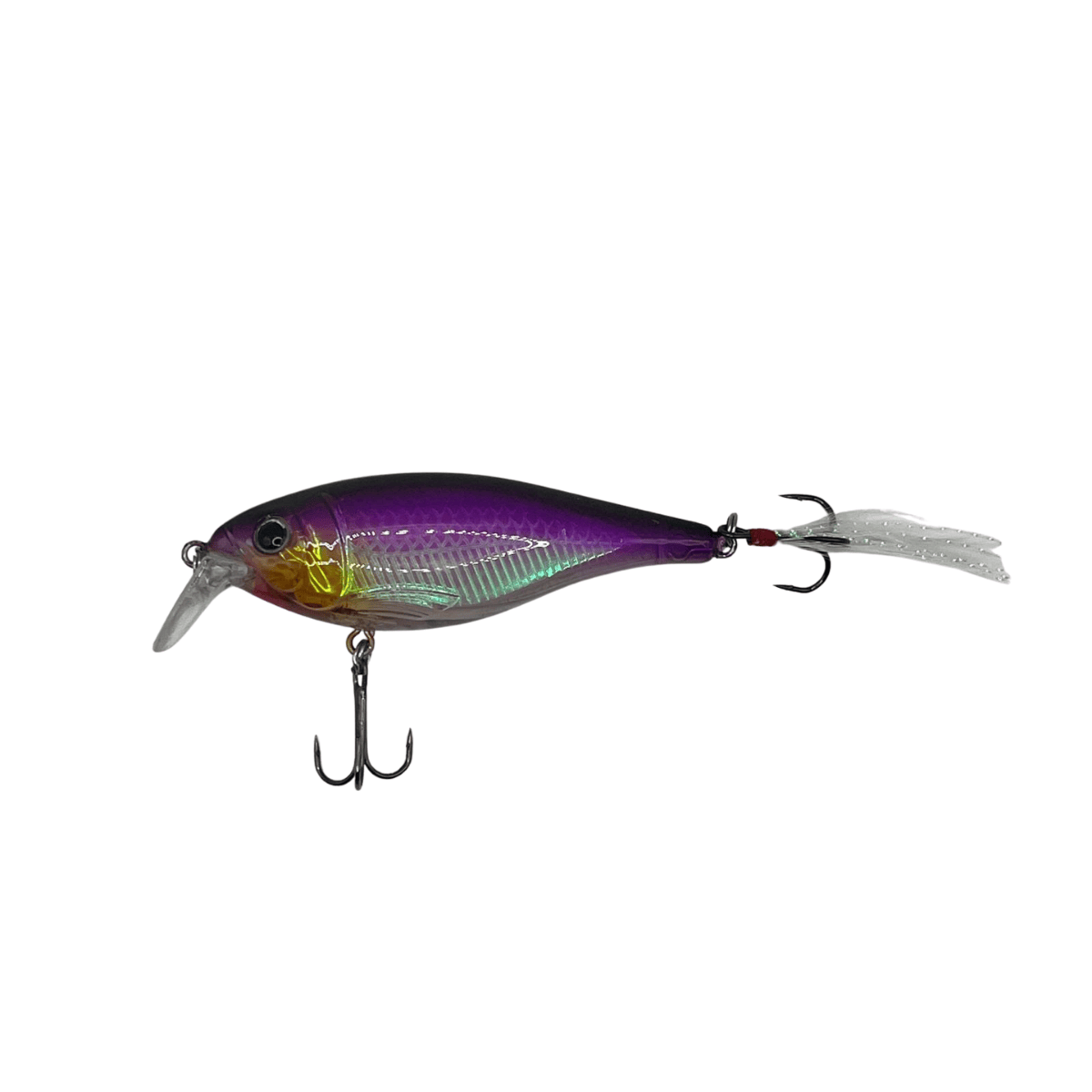 Shockfin – Rattlevein